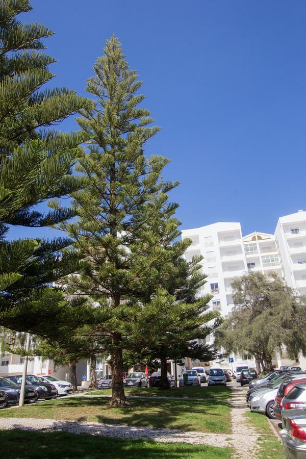 Casa Da Praia Lagos Eksteriør billede